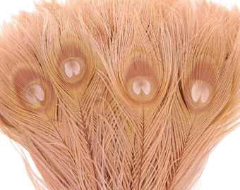 Peacock Feathers, Dusty ROSE Bleached Dyed Tails, Peacock  Feathers ZUCKER® 100 pieces