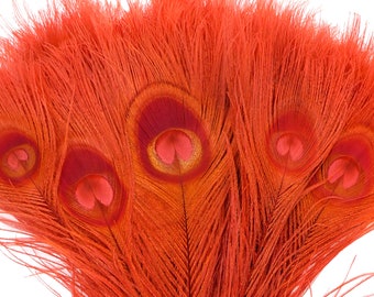 Peacock Feathers, RED Bleached Dyed Tails, Peacock  Feathers ZUCKER® 100 pieces