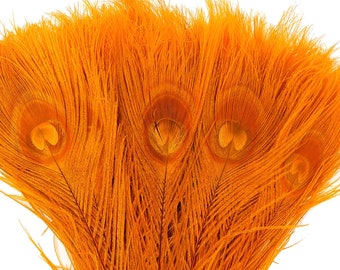 Peacock Feathers, 5 to 100 Pieces, ORANGE Bleached Dyed Tails, Peacock  Feathers ZUCKER® USA Store