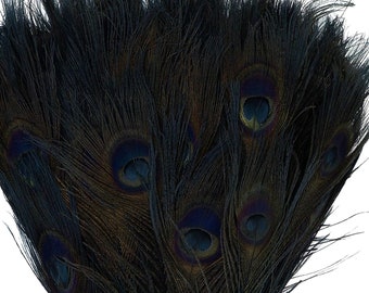 Può includere: Un mazzo di piume di pavone scure, legate alla base. Le piume sono principalmente nere con segni oculari iridescenti blu e verdi. Le piume sono disposte a ventaglio.
