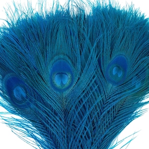 Peacock Feathers, 5 to 100 Pieces, Dark TURQUOISE Bleached Dyed Tails, Peacock  Feathers ZUCKER®