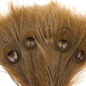 Peacock Feathers, 5 to 100 Pieces, GOLDEN Iridescent Bleached Dyed Tails, Peacock  Feathers ZUCKER®