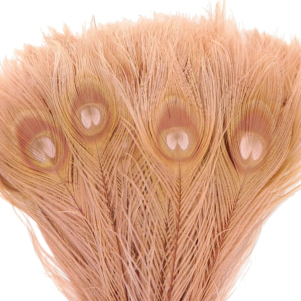 Peacock Feathers, 5 to 100 Pieces, Dusty ROSE Bleached Dyed Tails, Peacock  Feathers ZUCKER®