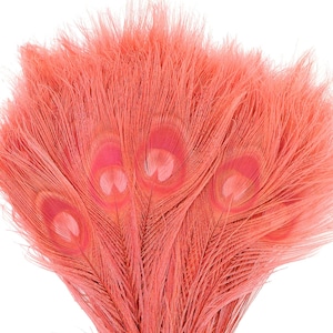 Peacock Feathers, 5 to 100 Pieces, CORAL Bleached Dyed Tails, Peacock  Feathers ZUCKER®