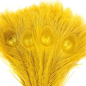 Peacock Feathers, 5 to 100 Pieces, GOLD Bleached Dyed Tails 8 to 15 inches, Peacock  Feathers ZUCKER®