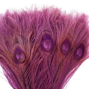 Peacock Feathers, 5 to 100 Pieces, PURPLE Bleached Dyed Tails, Peacock  Feathers ZUCKER®