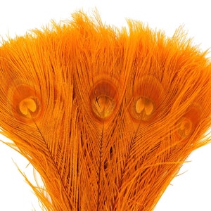 Peacock Feathers, 5 to 100 Pieces, ORANGE Bleached Dyed Tails, Peacock  Feathers ZUCKER®