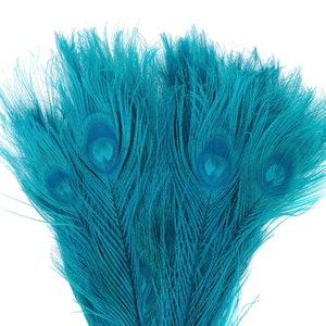 Peacock Feathers, 5 to 100 Pieces, Dark AQUA Bleached Dyed Tails 8 to 15 inches, Peacock  Feathers ZUCKER®