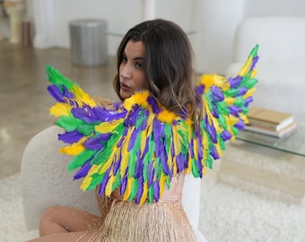 May include: A woman wearing a gold fringe costume with purple, green, and yellow feather wings.