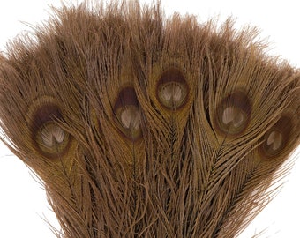 Può includere: Un mazzo di piume di pavone marroni, aperte per mostrare la loro bellezza naturale. Le piume hanno una tonalità terrosa ricca con segni iridescenti a forma di occhio. La base delle piume è legata con un filo sottile, creando un accento decorativo.