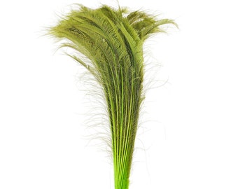 Long Bleach Dyed Peacock Swords 25-40" LIME Green 10 to 100 Piece, Floral Decor, Millinery, Costume ZUCKER® Dyed & Sanitized in USA