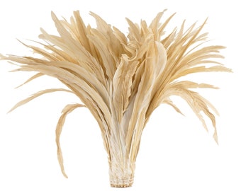 Rooster Tail Feathers, BEIGE 16-18" Strung Bleach Dyed Coque Tails, Wholesale Feathers Bulk ZUCKER®