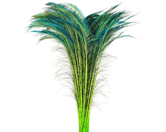Long Peacock Sword Feathers, Lime Green Stem Dyed, 25-40" Floral Decor, Wedding Centerpieces 10 pieces