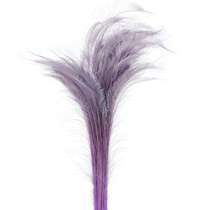 Long Bleach Dyed Peacock Swords 25-40&quot; Purple ORCHID, 10 to 100 Piece, Floral Decor, Millinery, Costume ZUCKER® Dyed & Sanitized in USA