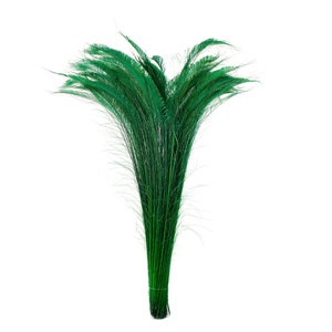 Long Bleach Dyed Peacock Swords 25-40&quot; KELLY Green, 10 to 100 Piece, Floral Decor, Millinery, Costume ZUCKER® Dyed & Sanitized in USA