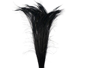 Long Bleach Dyed Peacock Swords 25-40" BLACK, 10 to 100 Pieces, Floral Decor, Millinery, Jewelry Design ZUCKER® Dyed &