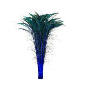 Long Peacock Swords 10 to 100 Pcs 25-40&quot; Stem Dyed ROYAL Blue Floral Decor, Wedding Centerpiece, Wholesale Feather ZUCKER® Sanitized in USA