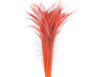 Long Bleach Dyed Peacock Swords 25-40" CORAL, 10 to 100 Piece, Floral Decor, Millinery, Jewelry Design ZUCKER® Sanitized in USA