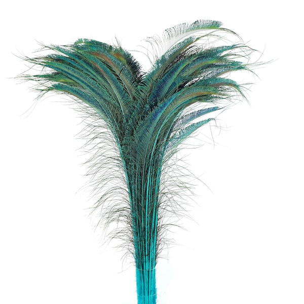 Long Peacock Swords 10 to 100 Pc 25-40" Stem Dyed Light TURQUOISE Floral Decor, Wedding Centerpiece, Wholesale Feather ZUCKER® Sanitized USA