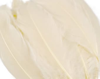 Goose Feathers, 6-8" Loose Goose Pallet Feathers IVORY, Ivory Feathers, For Arts and Craft Supplies ZUCKER®