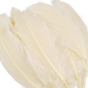 Goose Feathers, 6-8&quot; Loose Goose Pallet Feathers IVORY, Ivory Feathers, For Arts and Craft Supplies ZUCKER®