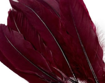 Goose Feathers, 6-8" Loose Goose Pallet Feathers Burgundy Wine, Burgundy Goose Feathers For Arts and Craft Supplies ZUCKER®