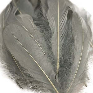 Goose Feathers, 6-8&quot; Loose Goose Pallet Feathers Silver Grey, Grey Goose Feathers For Arts and Craft Supplies ZUCKER®