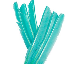 Turkey Pointers 6 Pieces, 8-12" Dyed Light TURQUOISE, Large Primary Turkey Pointer Quills Halloween, Cosplay Wing ZUCKER® Dyed Sanitized USA