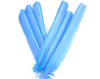 Turkey Pointers 6 Pieces, 8-12" Dyed SKY Blue, Large Primary Turkey Pointer Quills Halloween, Cosplay Wings ZUCKER® Dyed Sanitized in USA