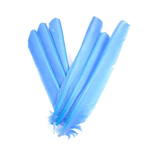 Sky Cut Turkey Pointers 8-12&quot; Dyed 6pcs, Cut Turkey Pointer Quills for Costume, Carnival, Halloween, Cosplay and DIY Arts & Crafts ZUCKER®