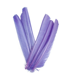Lavender Cut Turkey Pointers 8-12&quot; Dyed 6pcs, Turkey Pointer Quills for Costume, Carnival, Halloween, Cosplay and DIY Arts & Crafts ZUCKER®