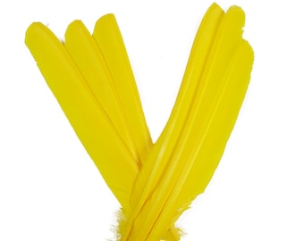 Turkey Pointers 6 Pieces, 8-12" Dyed YELLOW, Large Primary Turkey Pointer Quills Halloween, Cosplay Wing ZUCKER® Sanitized USA