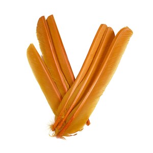 Gold Cut Turkey Pointers 8-12&quot; Dyed 6pcs, Cut Turkey Pointer Quills for Costume, Carnival, Halloween, Cosplay and DIY Arts & Crafts ZUCKER®