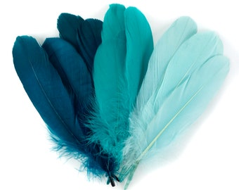 turquoise feathers for sale