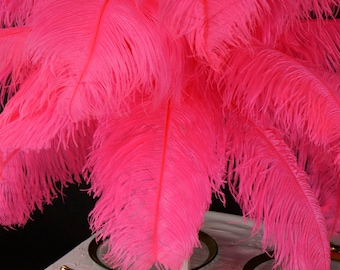 100 Pcs hot pink irridescent coque feathers