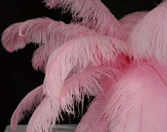 pink  T COQUE TAIL FEATHERS Loose  Cotton candy 15