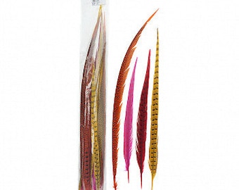 FIESTA 16-30" Dyed Ringneck and Golden Pheasant Tail Feathers 25pc/pkg - Assorted Colors for Millinery, Carnival and Cultural Arts ZUCKER®