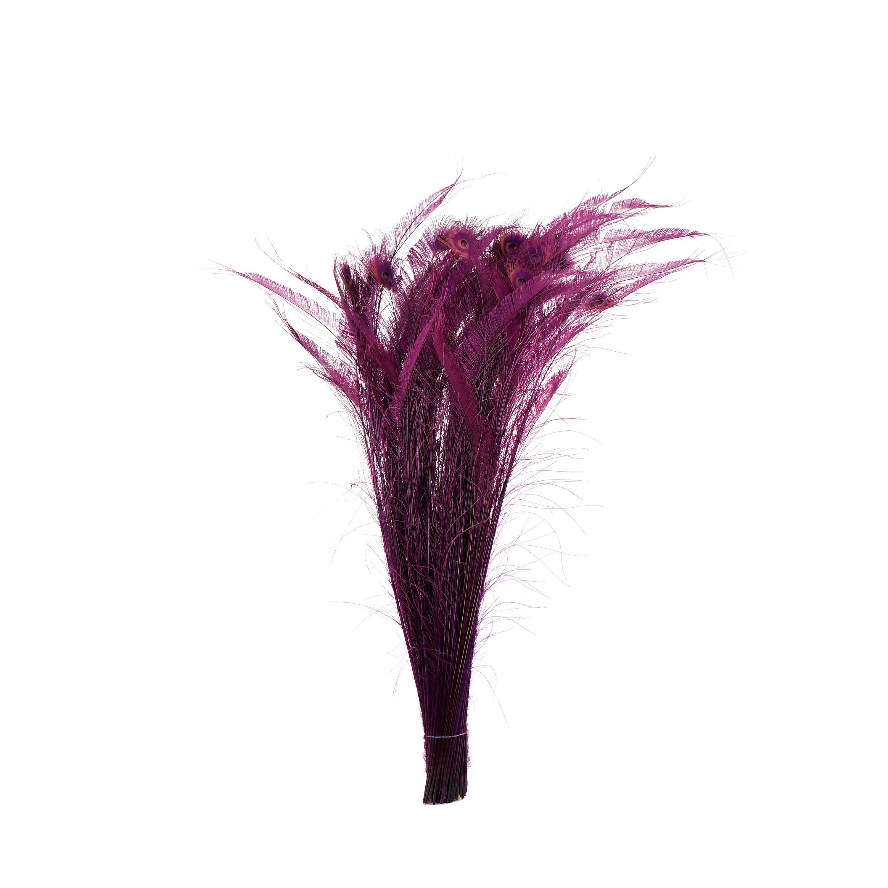 Long Bleach Dyed Peacock Swords 25-40" Purple Eggplant