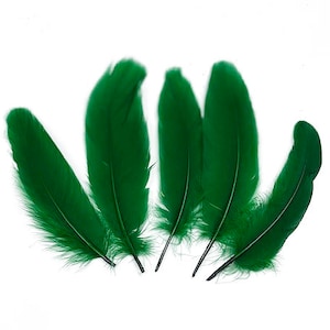 Goose Satinette Feathers, 4-6&quot; Kelly Green Loose Goose Feathers, Small Feathers, Art and Craft Supplies ZUCKER®