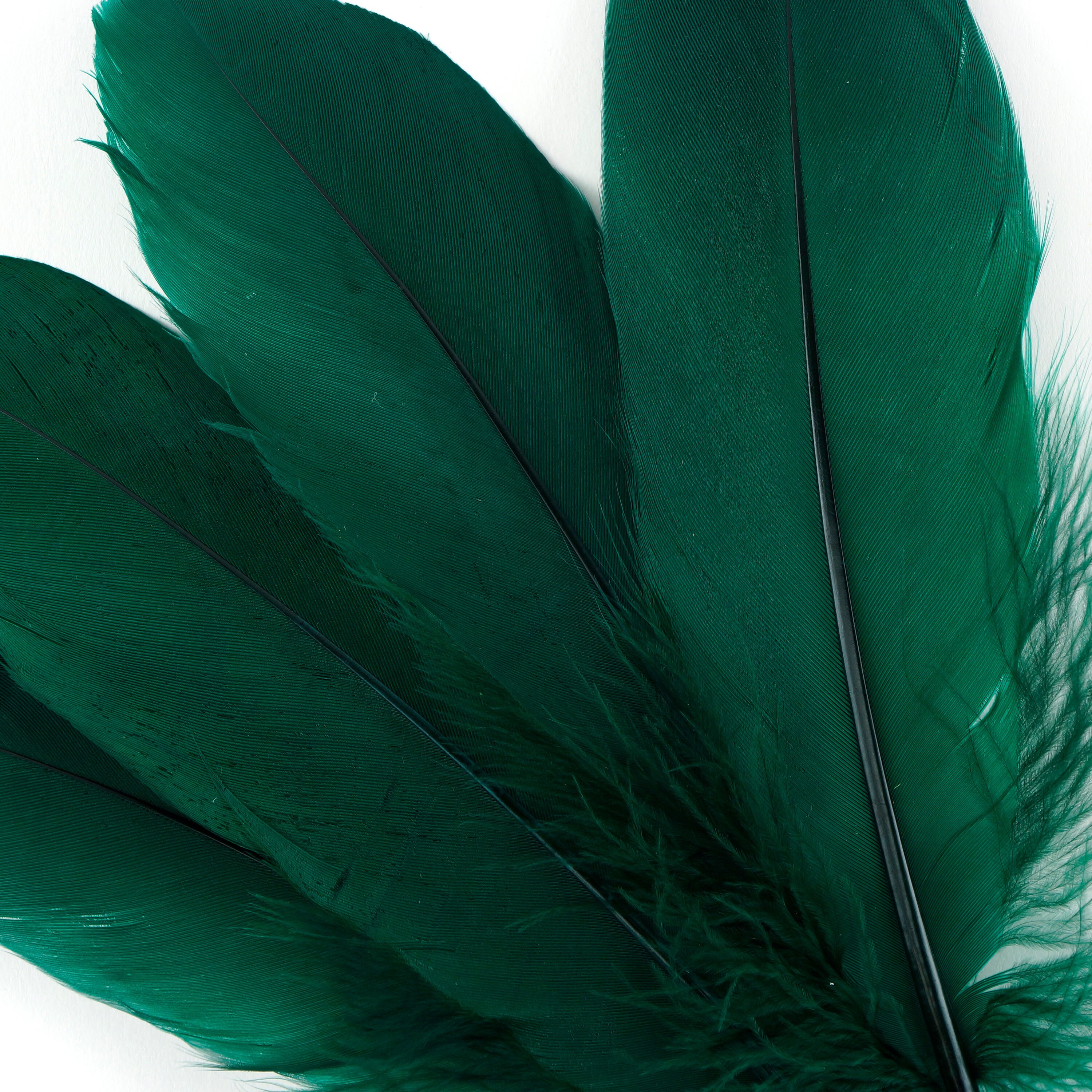 Emerald Green Feathers - Feathergirl