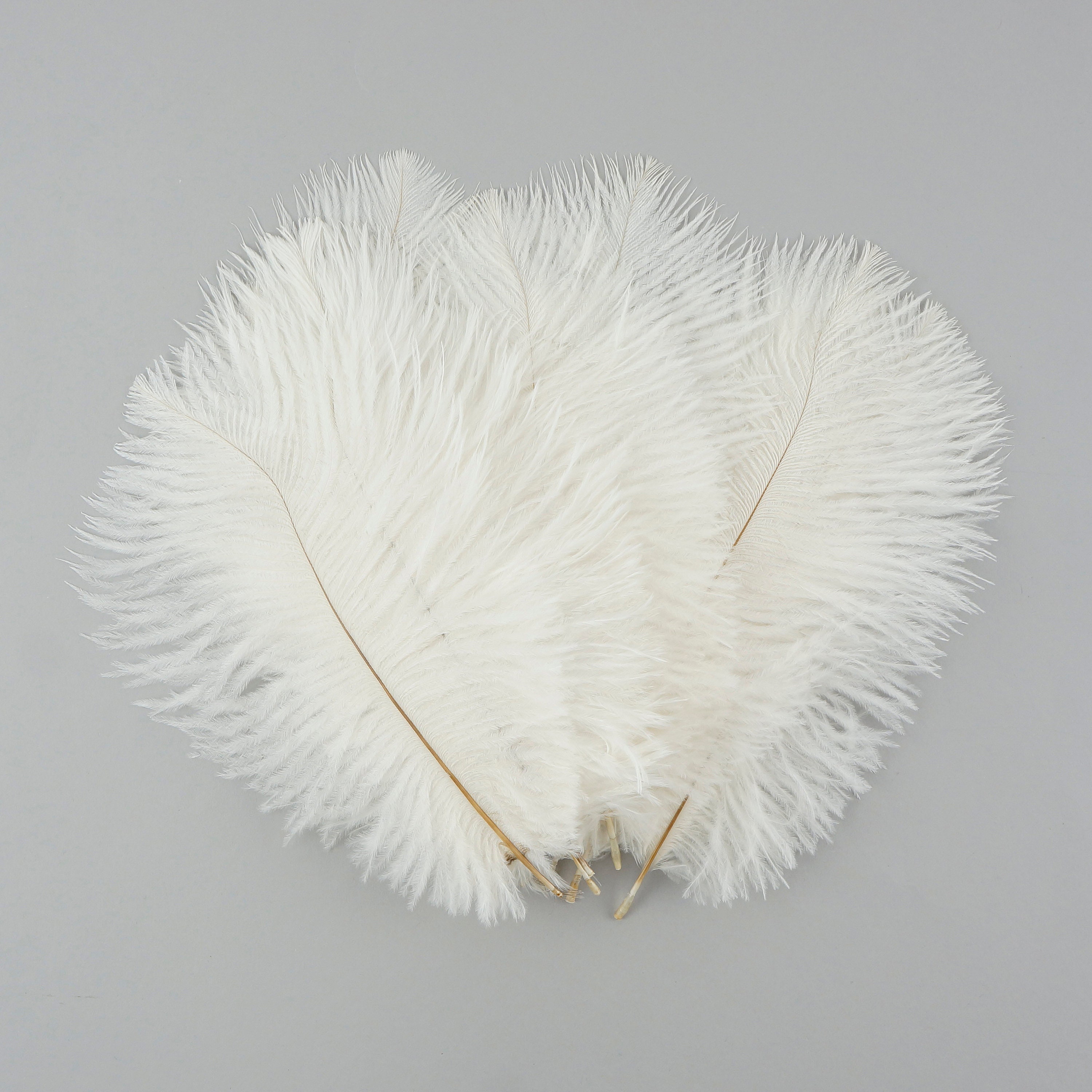 White ostrich drabs outlet