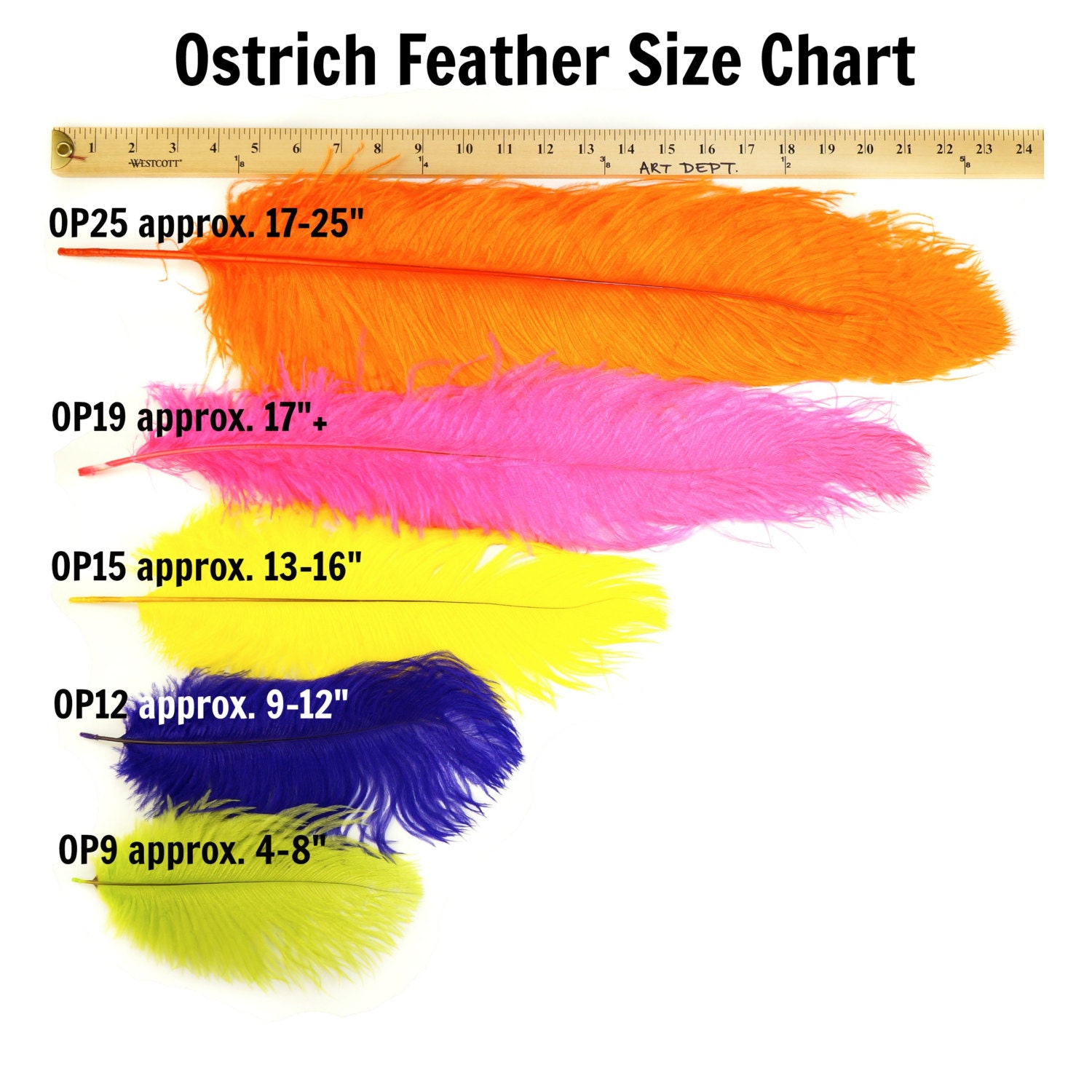 20 CHAMPAGNE 5-6" 12-15 CM DRABS OSTRICH FEATHERS  FIRST GRADE 