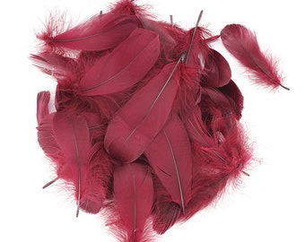 Burgundy Goose Nagoire Feathers, 4-6", Craft Supplies 200 pieces