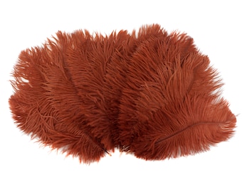 Ostrich Feathers 9-12" COPPER, Ostrich Drabs, Centerpiece Floral Supplies, Carnival & Costume Feathers ZUCKER®Dyed and Sanitized USA