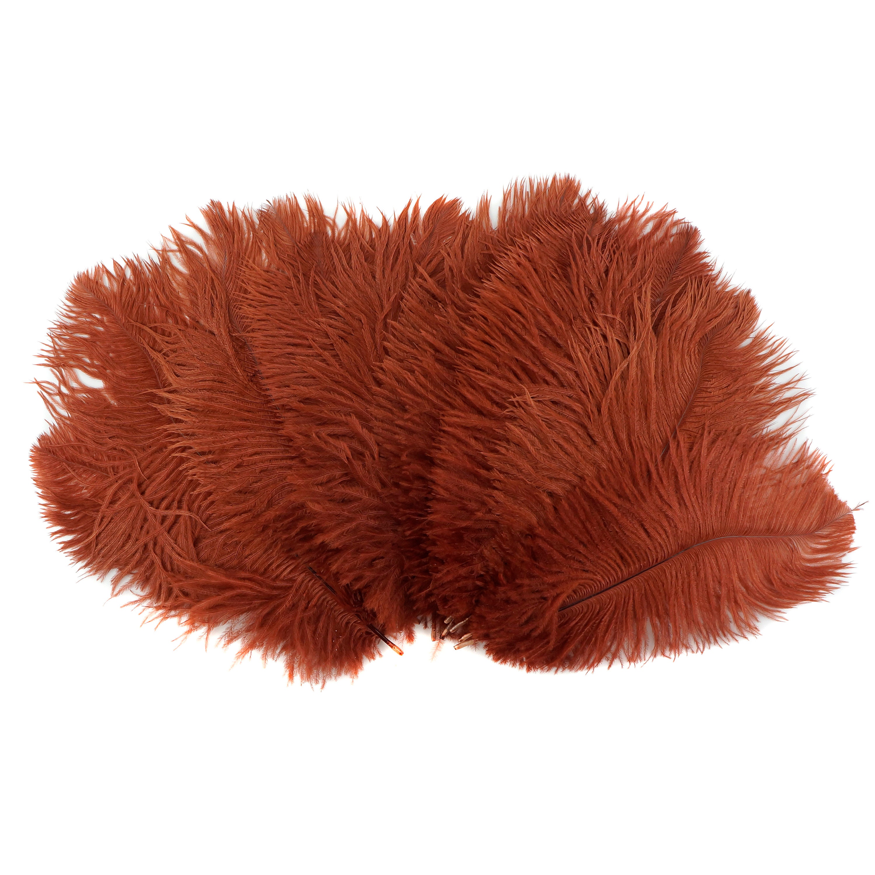 Copper Ostrich Feathers