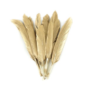 May include: A bunch of gold feathers arranged in a fan shape. The feathers are all the same size and have a soft, fluffy texture.