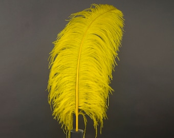 May include: A large, vibrant yellow feather with a central stem, set against a dark gray background. The feather is fluffy and detailed, with a long, slender shape. The base of the feather is in a dark gray vase.