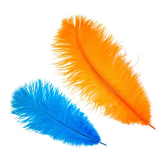 Ostrich Feathers 13-16 YELLOW for Feather Centerpieces, Party