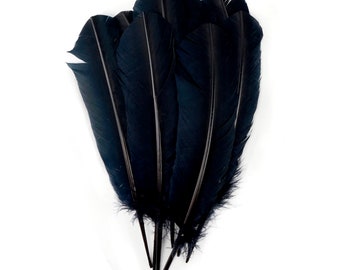 Black Dyed Turkey Quill Feathers, Bulk Turkey Quills 8-12” for Cosplay, Carnival, Costume, Millinery, Dream Catchers, Arts & Crafts ZUCKER®