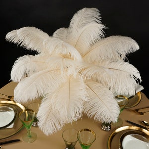 Ostrich Feathers 13-16" IVORY - For Feather Centerpieces, Party Decor, Millinery, Carnival, Fashion & Costume ZUCKER®